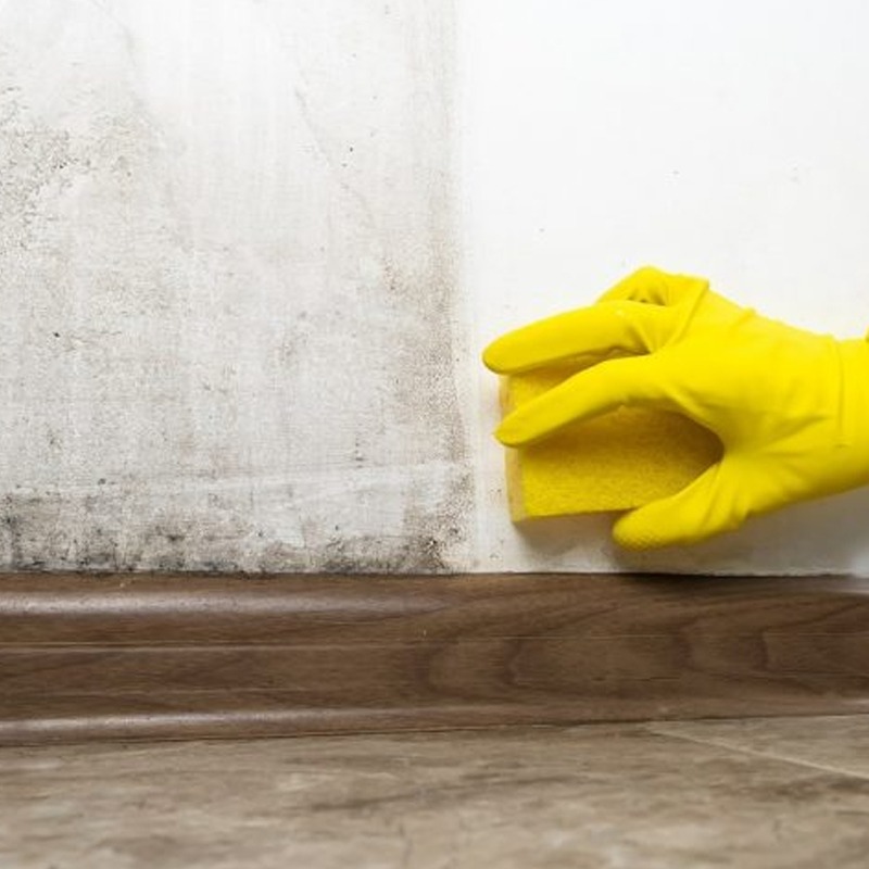 Murs & Sols de terrasses